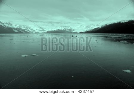 Glacier ja haara, Alaska