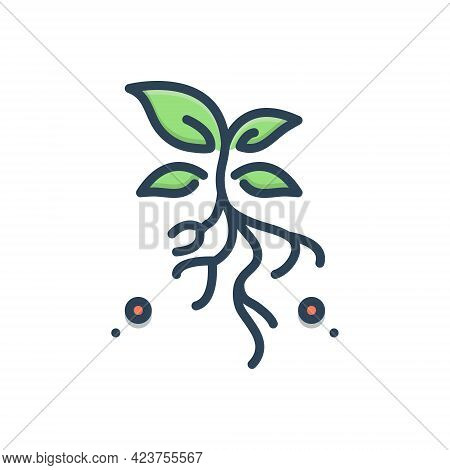 Color Illustration Icon For Grassroots Environment Flora Leaf Natural Plant Stump Underground