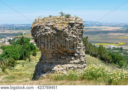 Ruins Of The Castle Of Medina Sidonia, In The Province Of Cádiz. Andalusia. Spain. Europe.