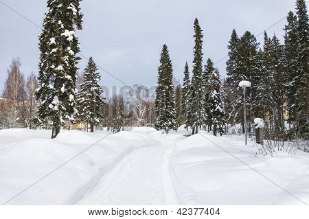 Ihana talvi Metsä Road