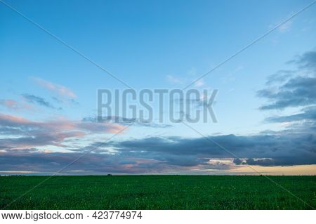 Oveг Agricultural Green Field Dramatic Clouds On Blue Sky In Evening After Sunset In Summer With Cop