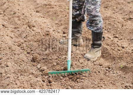 Male With Rake On Ground On Field In Spring Close Up. Seasonal Field Work.