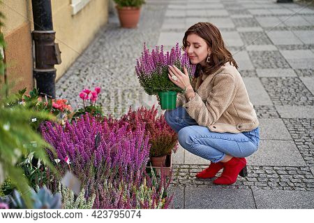 Young Beautiful Woman Sitting In Squats Holding A Flower Pot With Blooming Violet Heather Plant In A