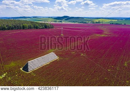 Red blooming crimson clover field (Trifolium incarnatum) and heap of bales seen from above