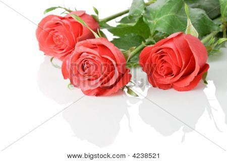 กุหลาบแดง 3 ดอก Boquet
