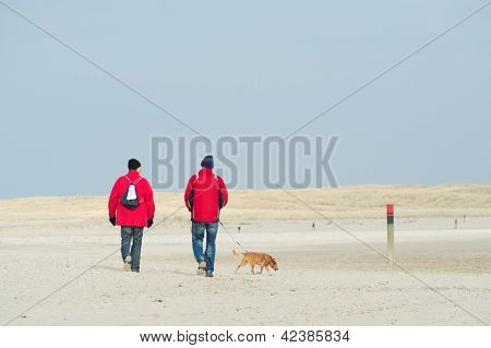 Köpek ile iki adam sahilinde hiking