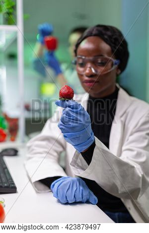Chemist Scientist Looking At Strawberry With Organic Liquid Examining Dna Test Of Fruits For Botany 