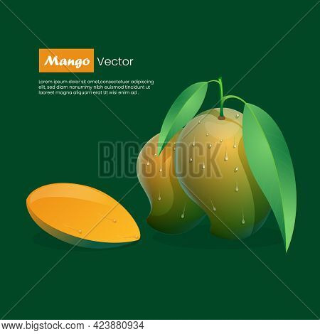 Mango Realistic Vector, Whole And Slice Mango Fruit With Leaf Concept