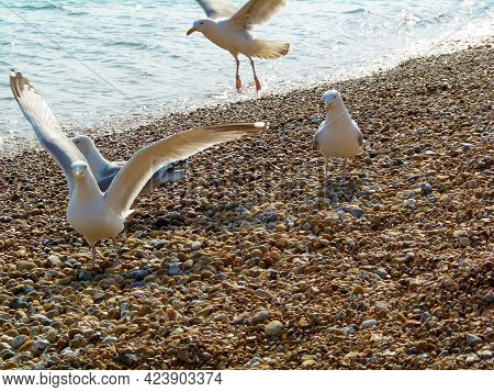 A View Of A Sunny Beach With A Town Line, A Few Beachgoers And A Calm Emerald Sea
