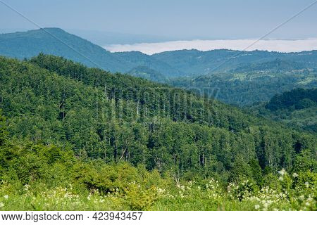 Scenic Landscape Of Crni Vrh (black Peak) Mountain In Eastern Serbia, Near The City Of Bor