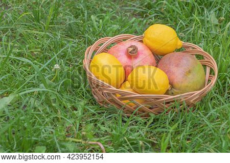Mango Lemon And Pomegranate Fruits In The Bakset With Grass Background - Fruit Health Benefits Conce