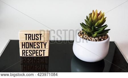 Trust, Honesty, Respect - Separate Words On Wooden And Black And White Background With Cactus Near