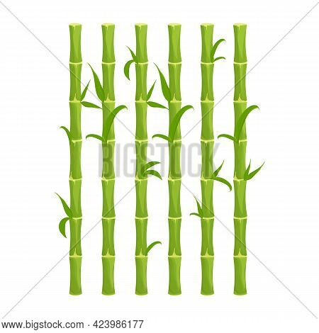 Green Bamboo Fence With Leaves, Wall In Cartoon Style Isolated On White Background. Natural Barrier 