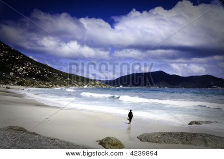 Secluded Beach