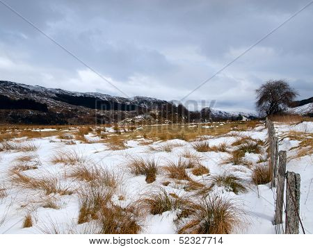 Winter Landscape In Crianlarich In The Scottish Highlands