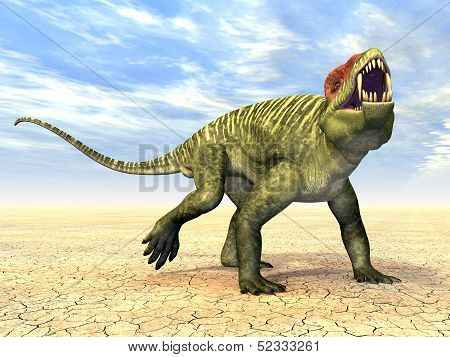 Doliosauriscus