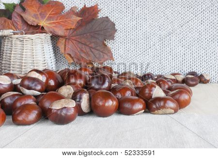 Horse Chestnuts Or Conkers On The Table, Basket With Autumn Leaves.
