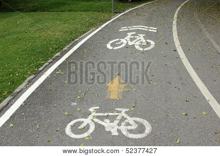 Bicycle lane