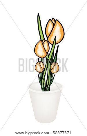 Beautiful Yellow Tulip Flowers In A Flowerpot