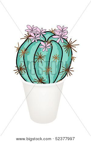 Cactus Plant And Pink Flower In A Flowerpot