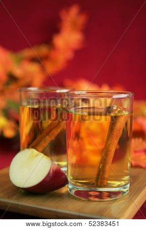 two glasses with apple juice and cinnamone stick