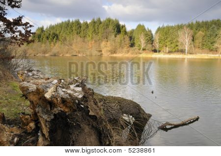 Broken Baum