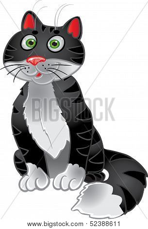 Black funny sitting cat