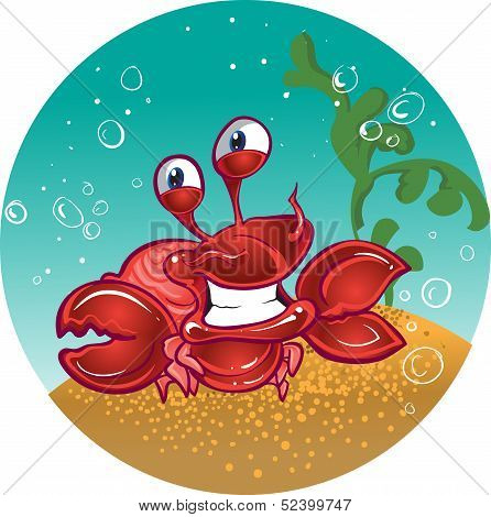 red fiddler crab