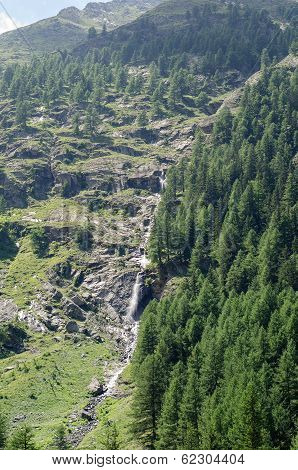 torrente alpino