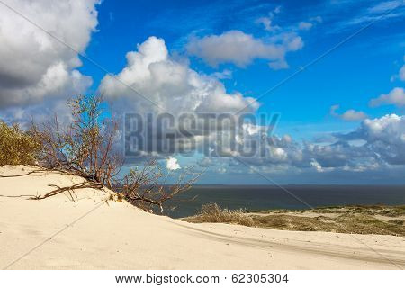 Sand Dune In Curonian Gulf