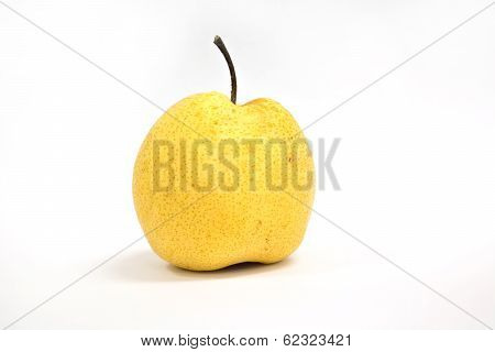 Chinese Pear