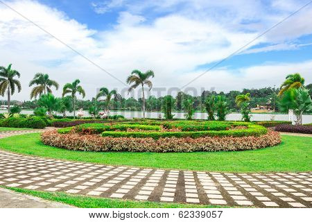 Garden Flowers In Chiang Rai, Thailand