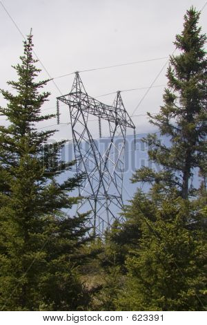 Power erämaassa