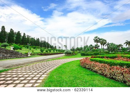 Garden Flowers In Chiang Rai, Thailand