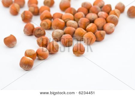 Hazelnuts