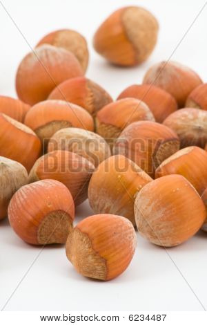 Hazelnuts