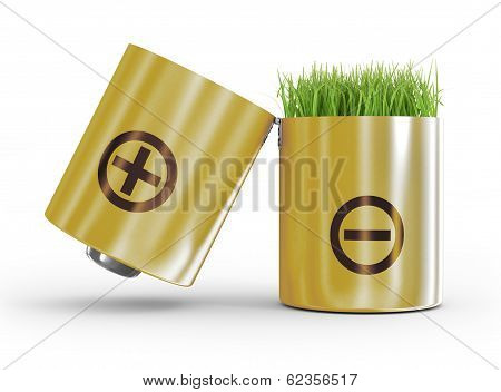 battery and a grass