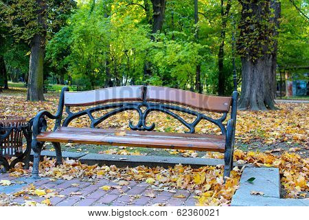 Park Bench In Autumn