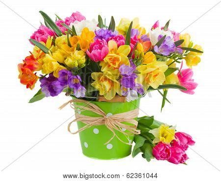 freesia and daffodil  flowers in blue pot