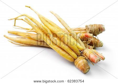 Fingerroot, Kaempfer, Boesenbergia On White Background