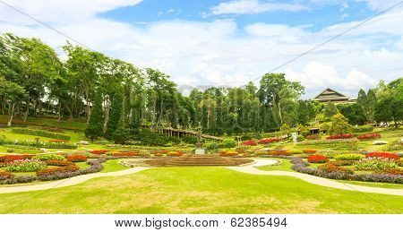 Garden Flowers , Mae Fah Luang Garden