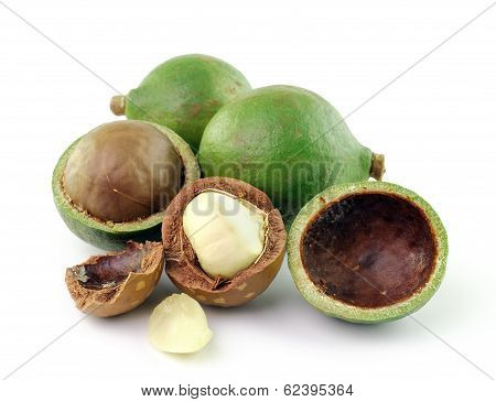 Macadamia Nuts On White Background