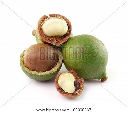 Macadamia Nuts On White Background
