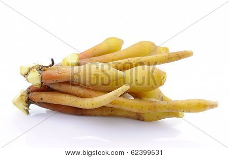 Fingerroot, Kaempfer, Boesenbergia On White Background