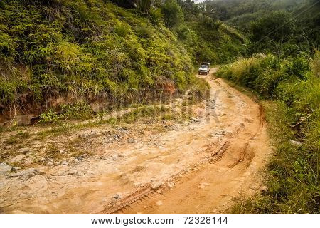 Travelling through jungle