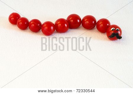 Tomato Catapiller
