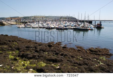 플리머스 항구 2