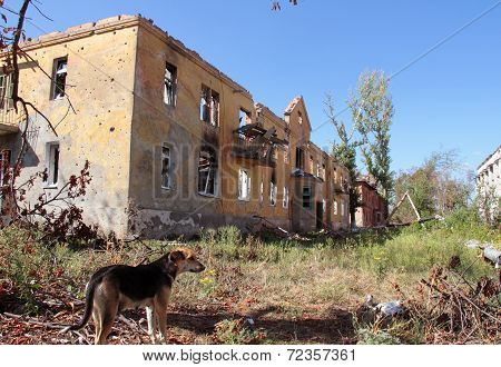 Destroyed Building