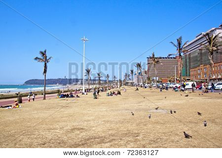 Many People And Pigeons On Grass Verge On Beachfront