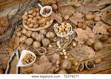 Autumn Nuts